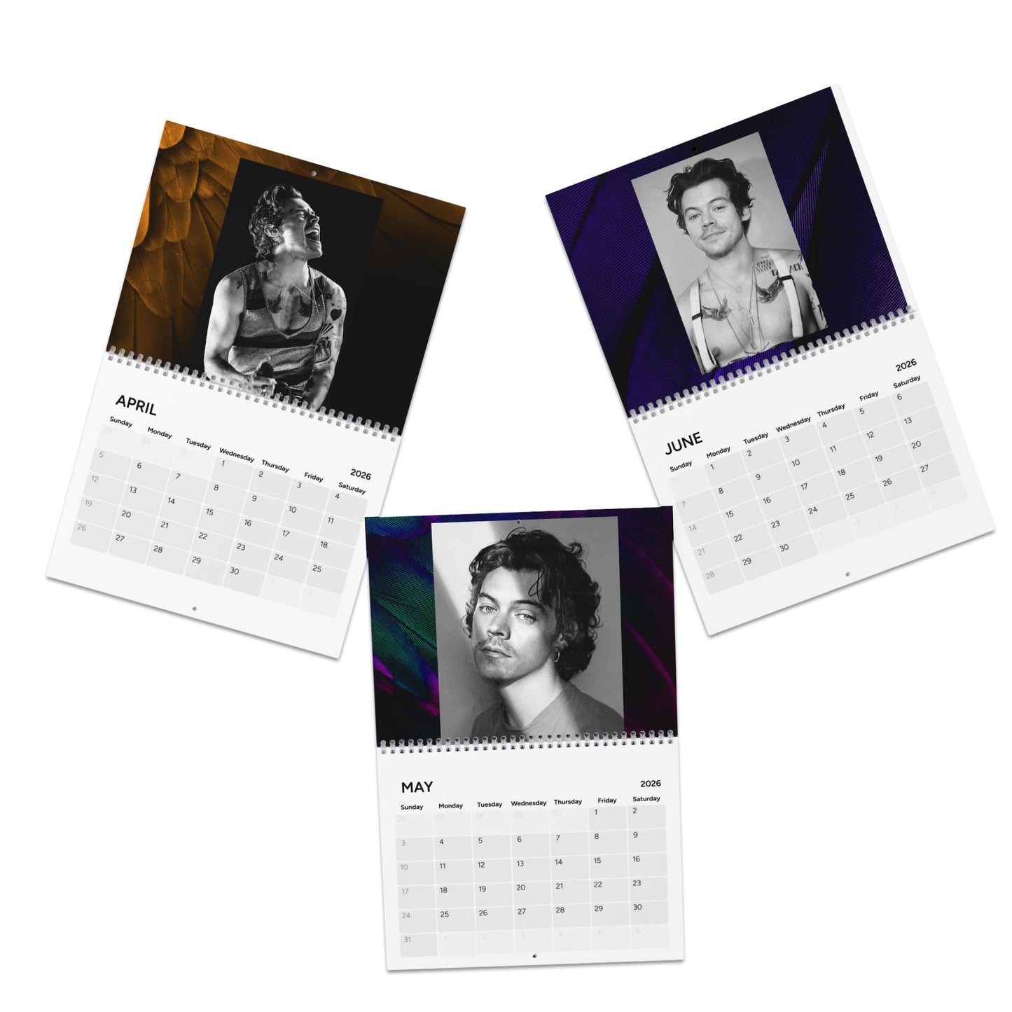 HARRY STYLES SEXY Calendar (2025)