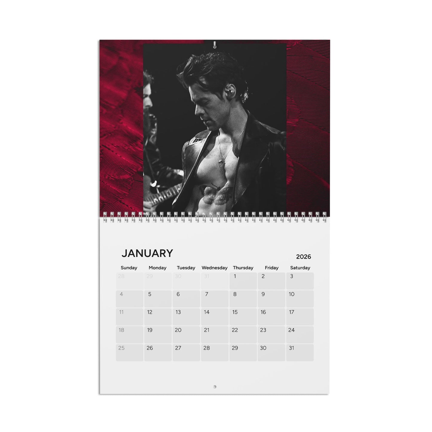 HARRY STYLES SEXY Calendar (2025)