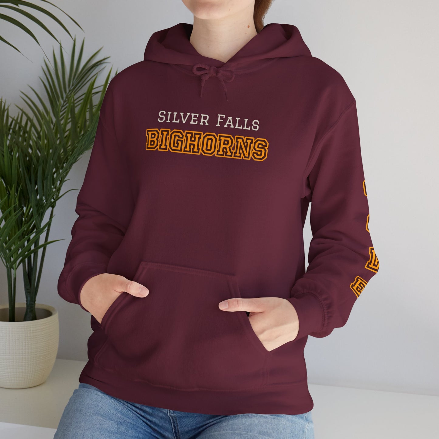 Silver Falls Bighorns Personalized Hoodie, Unisex Sweatshirt, Custom College Apparel, Gift for Walter Boys Fans Merch