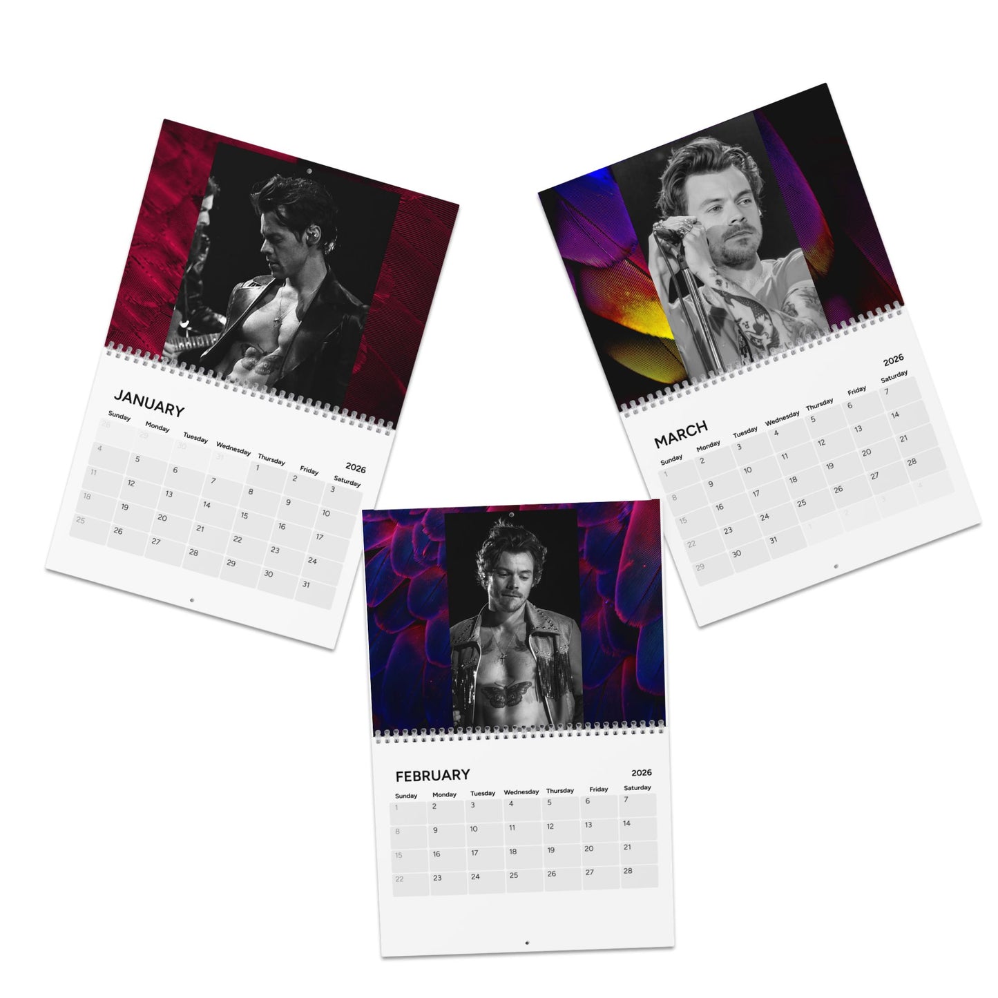 HARRY STYLES SEXY Calendar (2025)