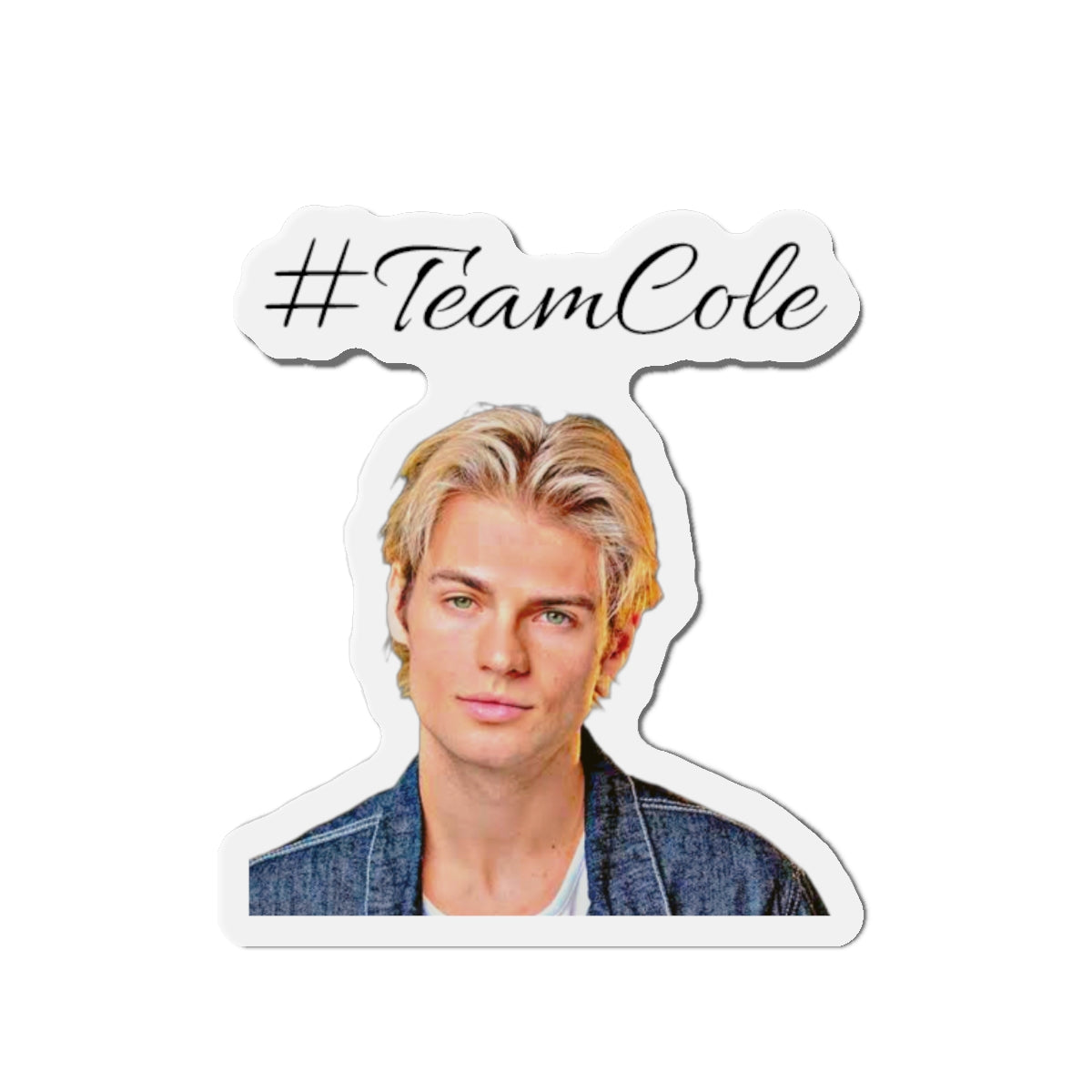 TeamCole Die-Cut Magnets, Fun School Locker  Decor, Cool Gift for Fans, Collectible Magnet, Walter Boys Merch