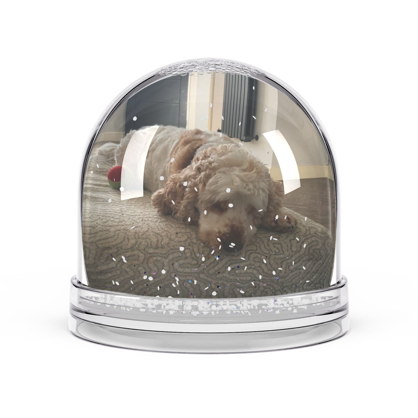 Personalized Pet /Loved One Tribute Memorial or Celebration  Snow Globe Keepsake