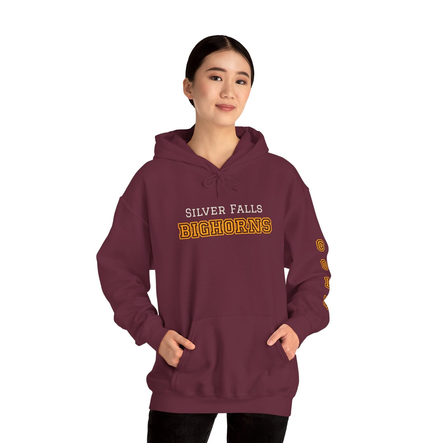 Silver Falls Bighorns Personalized Hoodie, Unisex Sweatshirt, Custom College Apparel, Gift for Walter Boys Fans Merch