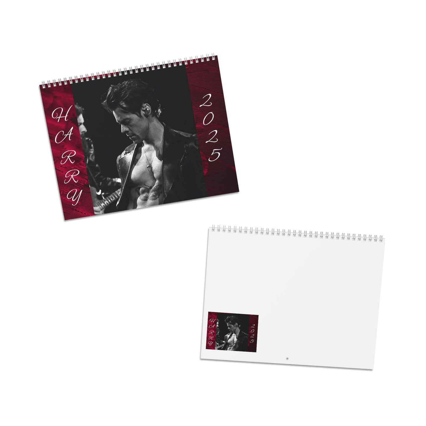 HARRY STYLES SEXY Calendar (2025)