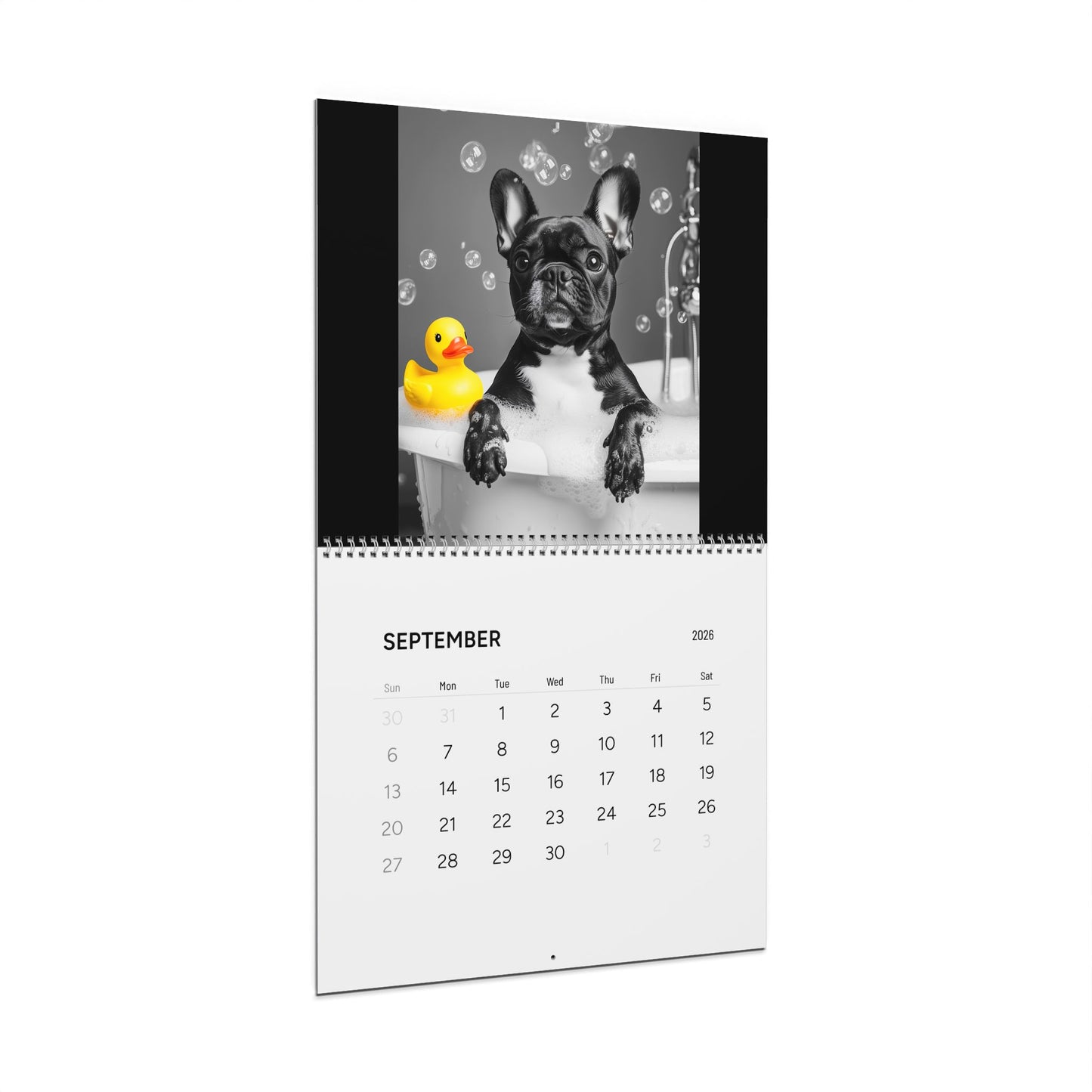 French Bulldog Bathroom Diaries Photo Wall Calendar 2026 | Frenchie Cute Dog Monthly Calendar Merch