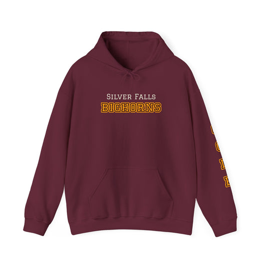 Silver Falls Bighorns Personalized Hoodie, Unisex Sweatshirt, Custom College Apparel, Gift for Walter Boys Fans Merch