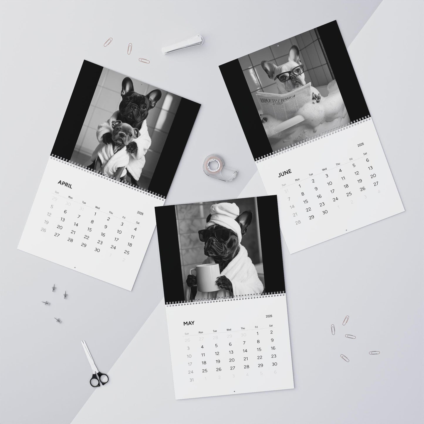 French Bulldog Bathroom Diaries Photo Wall Calendar 2026 | Frenchie Cute Dog Monthly Calendar Merch